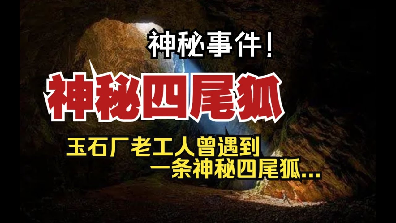 【神秘事件】神秘四尾狐：玉石廠老工人曾遇到的一條神秘四尾狐. ..