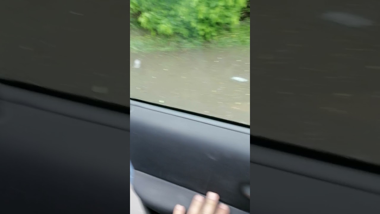 Marikova bara na vodi