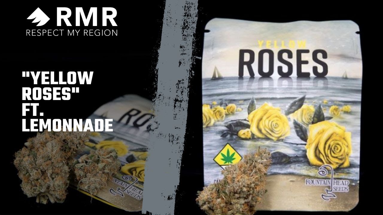 Yellow Roses Strain From Lemonnade By Cookies In Washington State