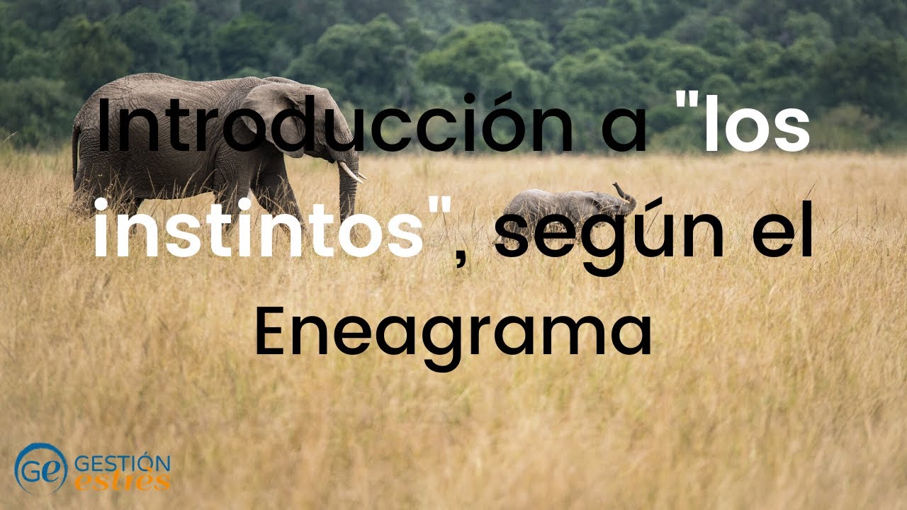 Los instintos según el Eneagrama