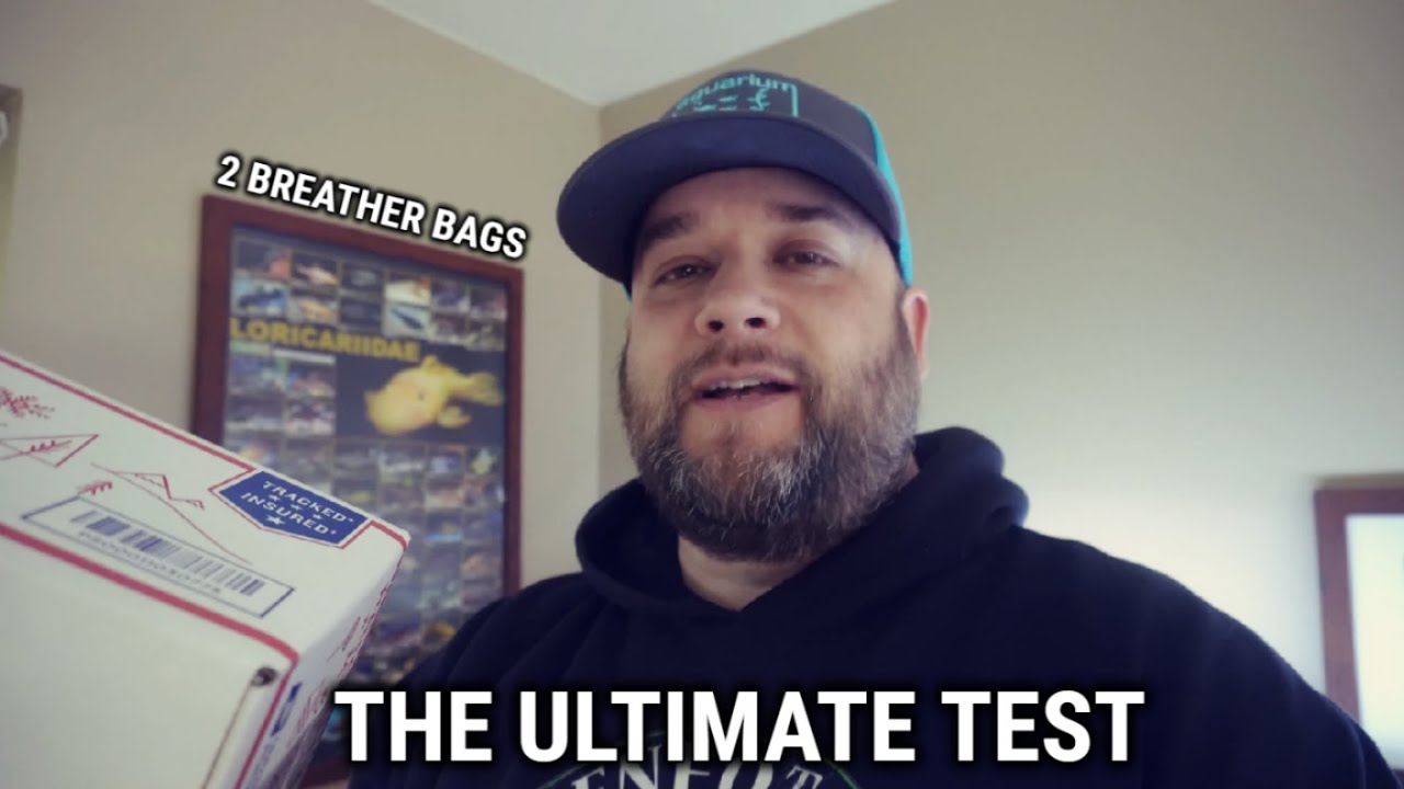 Putting Breather Bags To the Test! - WITH FISH!