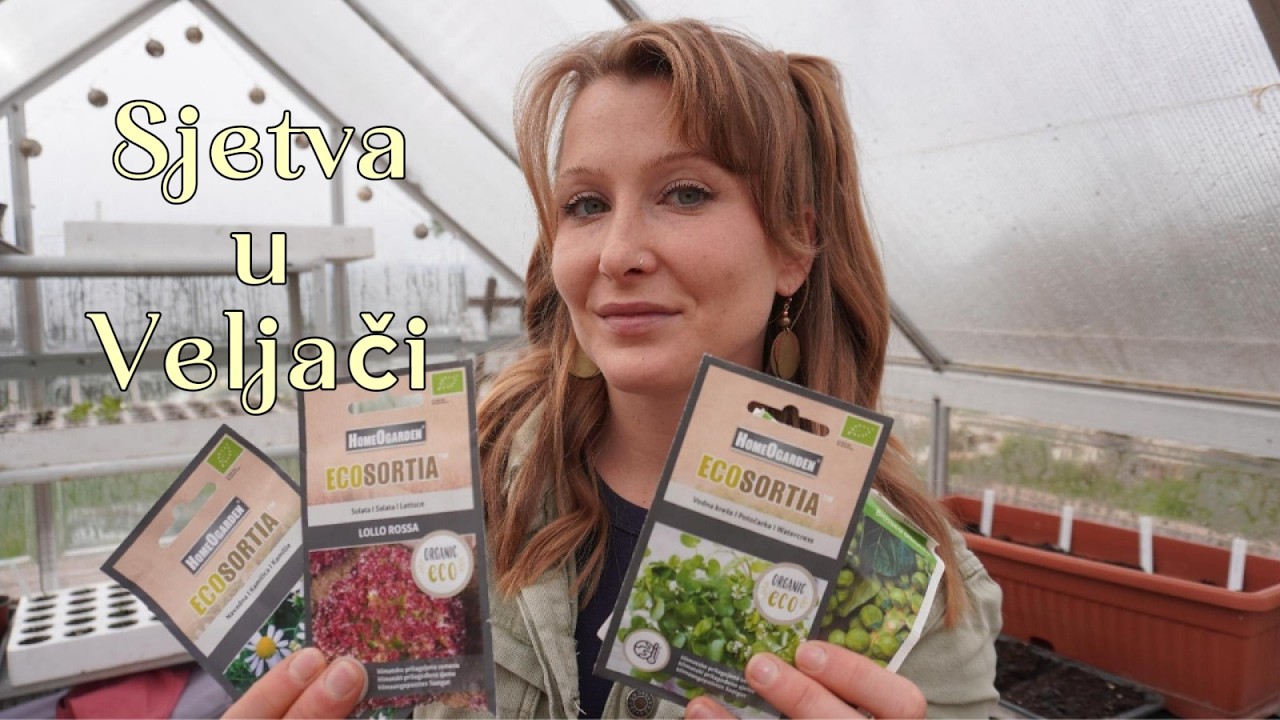 Sjetva u veljači-evo &scaron;to sijem🌱 Početak nove vrtne sezone