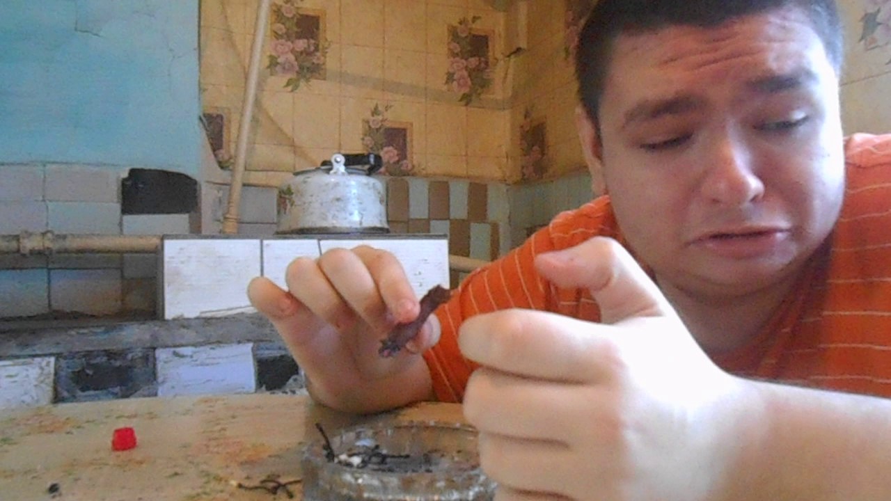 курение BACKWOODS SWEET часть 2