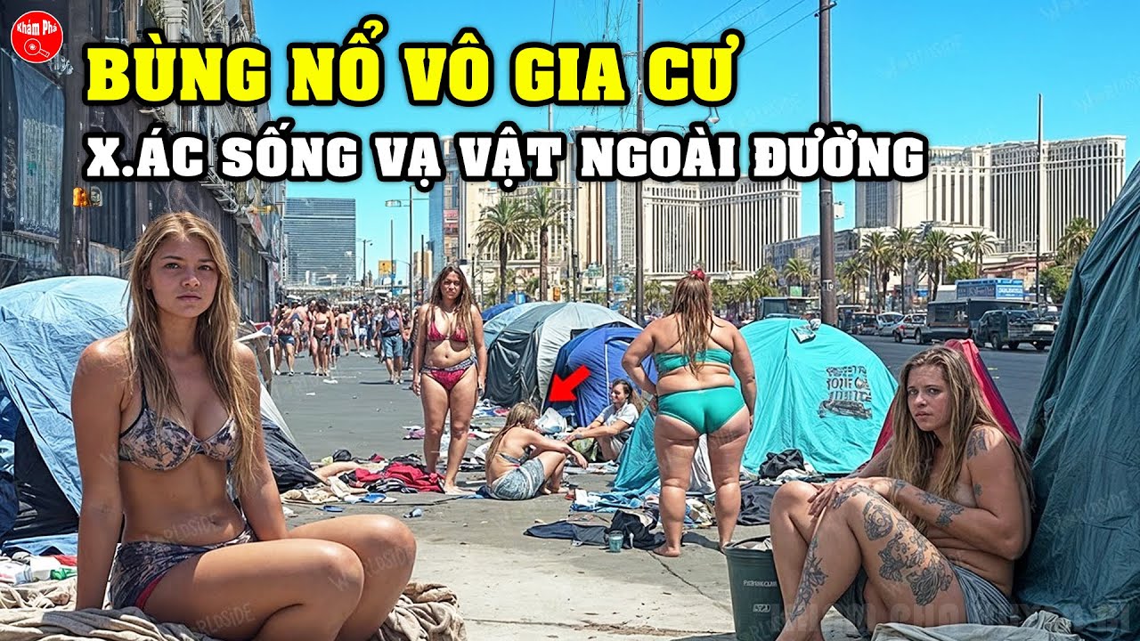 Bùng Nổ Vô Gia Cư Và Cuộc Sống Thực Tế Ở LOS ANGELES Nơi 