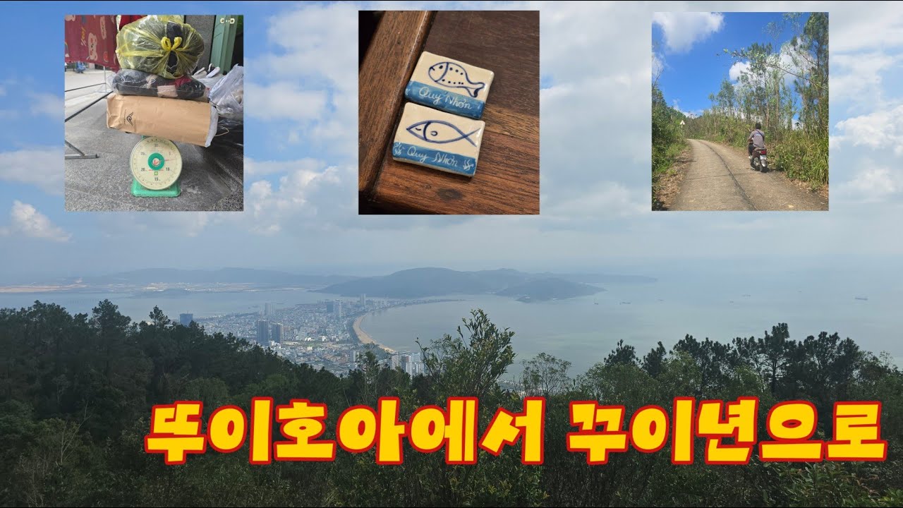 🇻🇳 뚜이호아에서 꾸이년으로 다시 돌아가기 25년12월31일 마지막날 #3