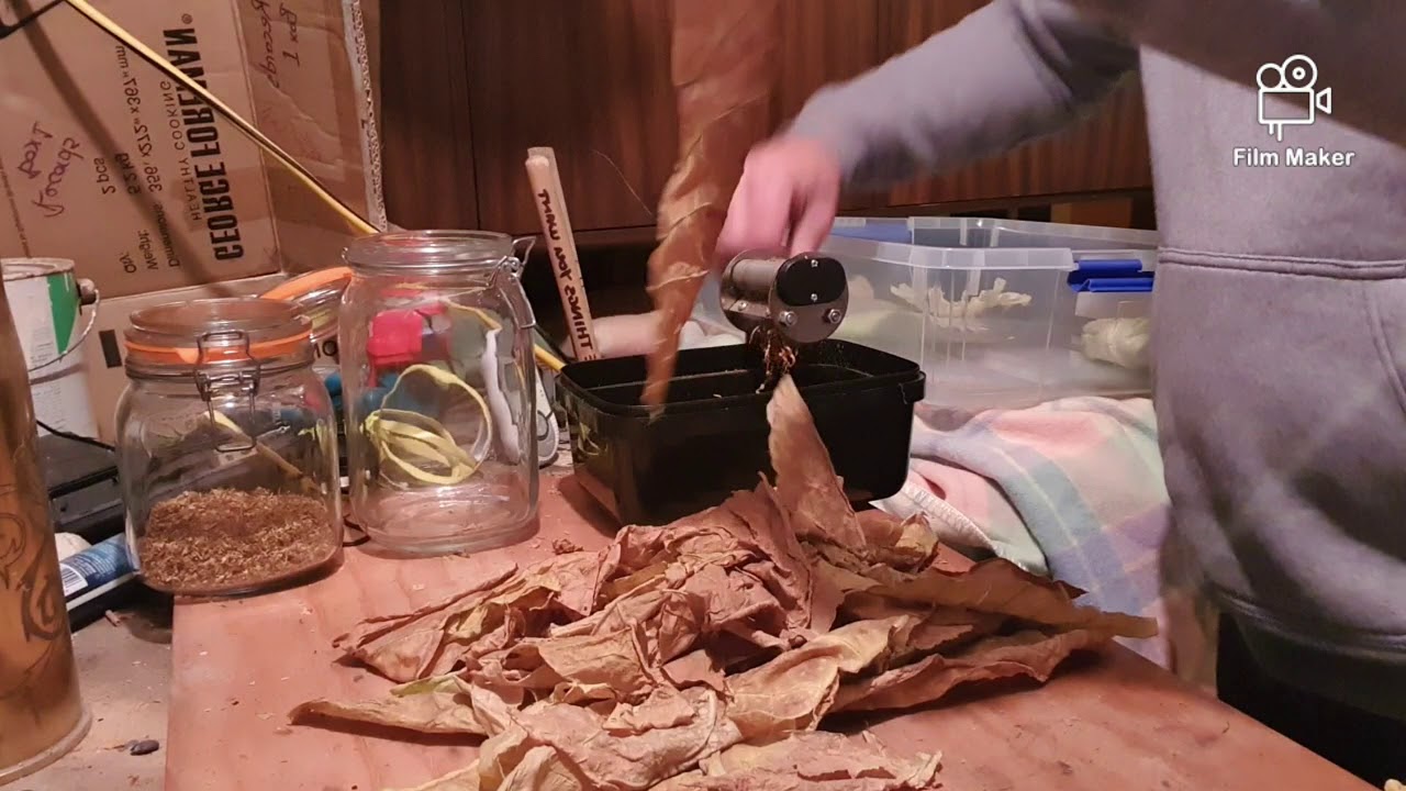 Growing and curing tobacco the easy way.