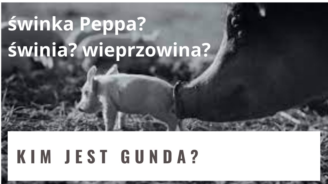 Kim jest (dla Ciebie) Gunda? | Recenzja filmu