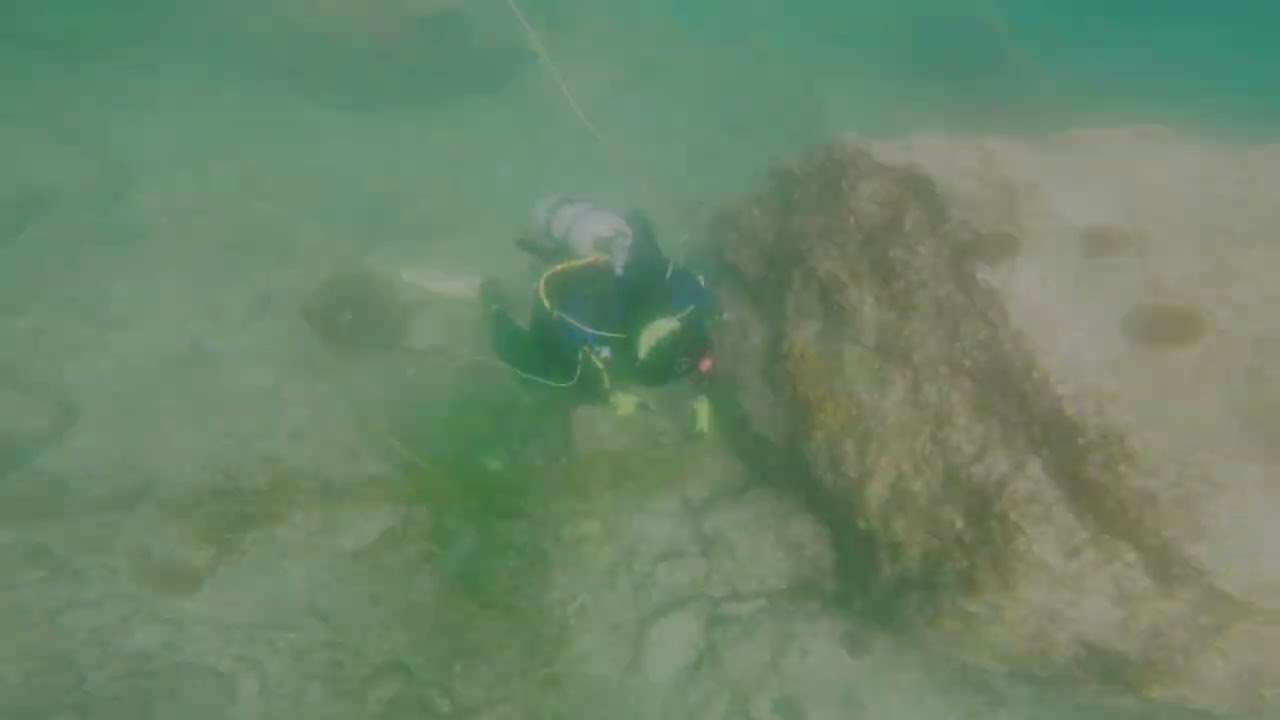 Freeing live corals from a ghost gill net