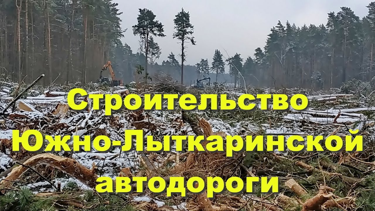 Строительство Южно-Лыткаринской автодороги (ЮЛА). Обследование просеки, поиск следов каменоломен.