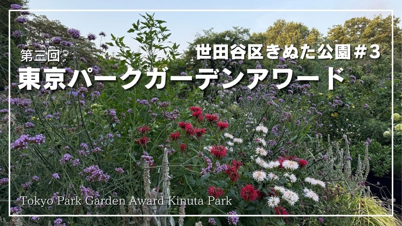 ☘️プロが厳選！宿根草コンテスト☘️第三回東京パークガーデンアワード＠砧公園＃3🌺2025年7月