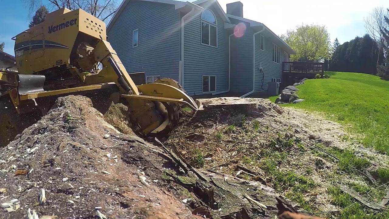 Stump Grinding Time lapse