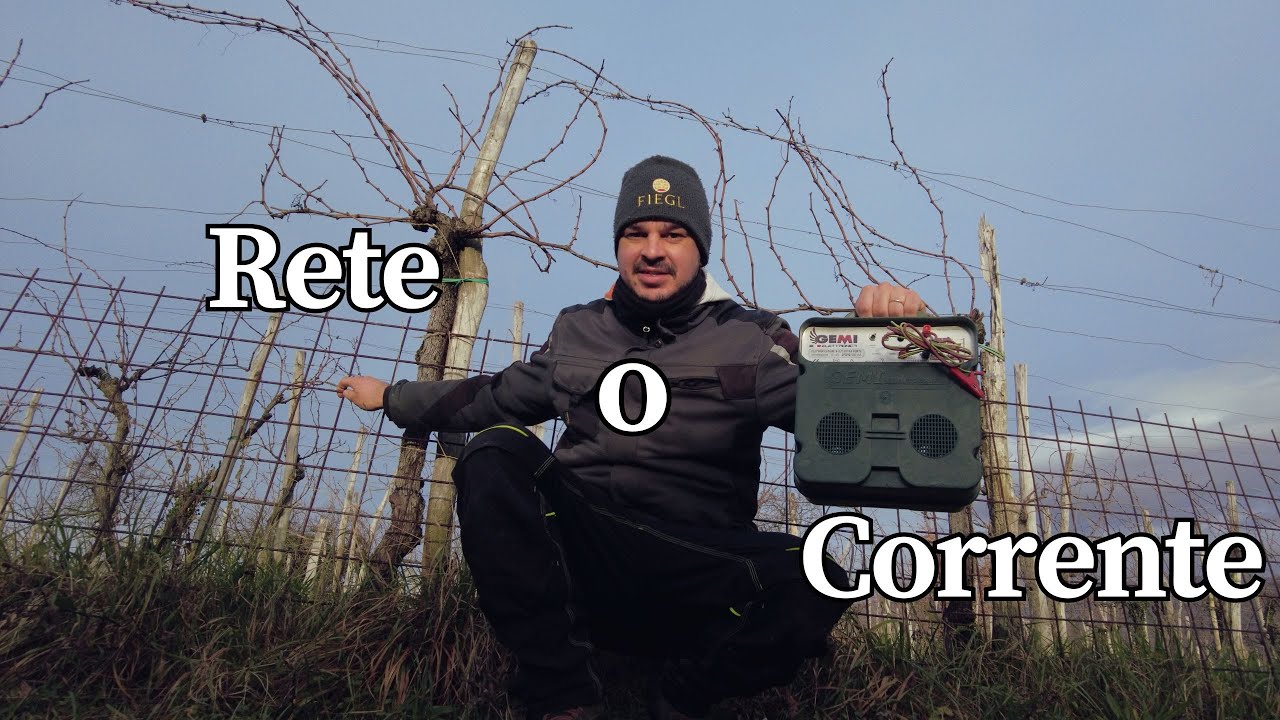 Meglio la rete elettrosaldata o il recinto elettrico?