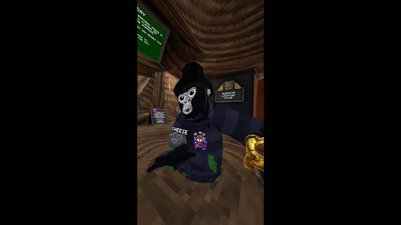 Meta Quest Broadcast | Powered by LIV