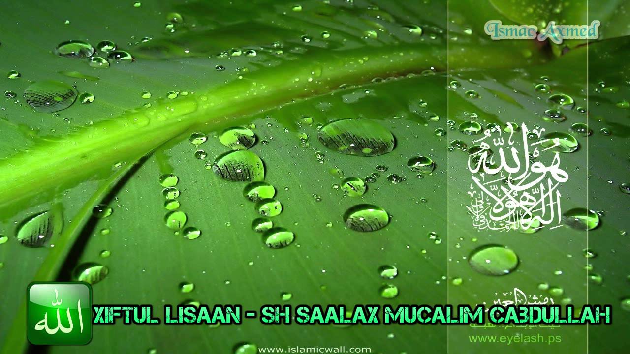 Muxaadaro - Xiftul Lisaan Sh Saalax Mucalim Cabdullah