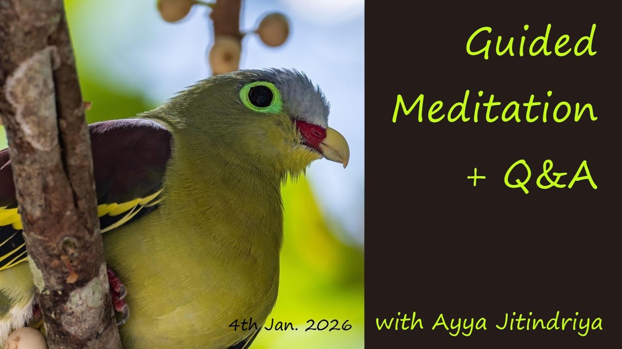 Guided Meditation + Q&A with Ayya Jitindriya ~ Sunday 4th January @ 7am AEDT