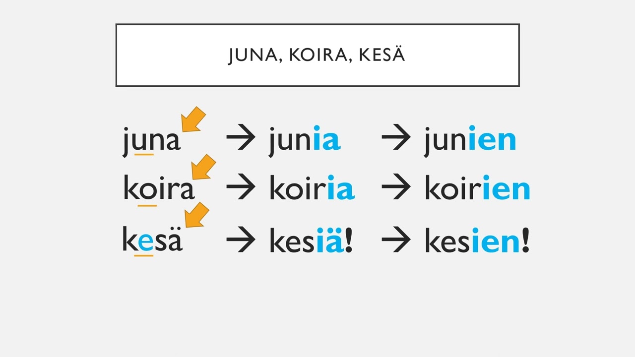 Monikon genetiivi - Osa 2 (Sanatyypit)