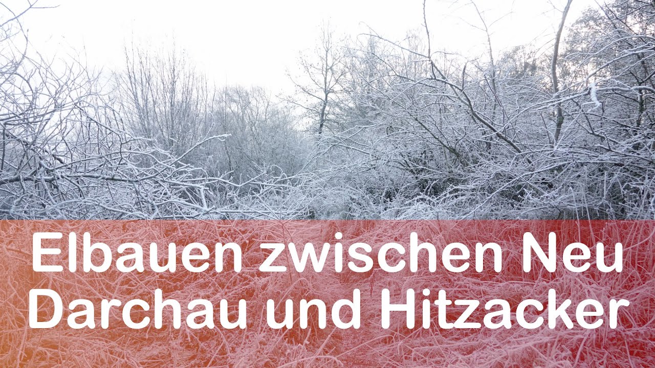 Von Neu Darchau nach Hitzacker an der Elbe im Winter