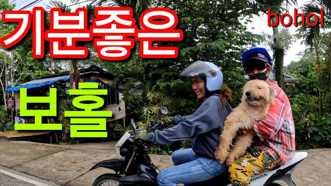 기분좋아지는 필리핀 보홀과 보홀 사람들
