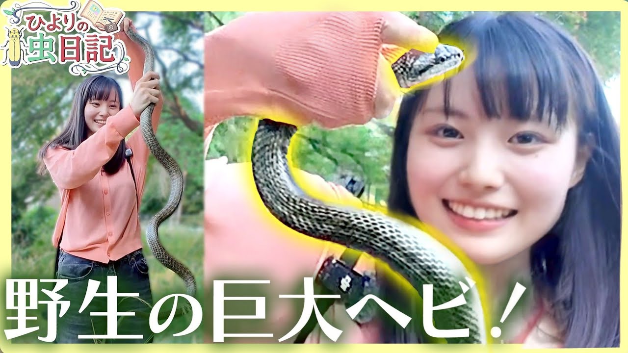 【衝撃】虫オタク女子、巨大生物とお友達になる