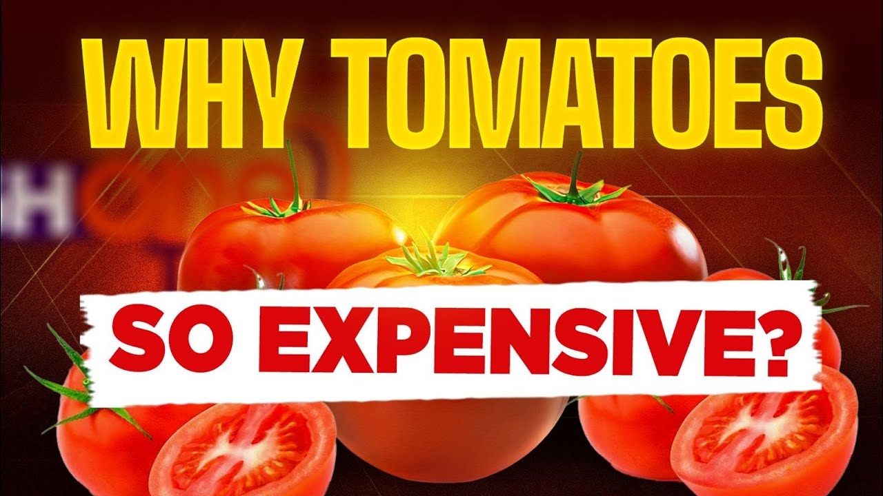 Why Tomatoes Are So Expensive in Ghana