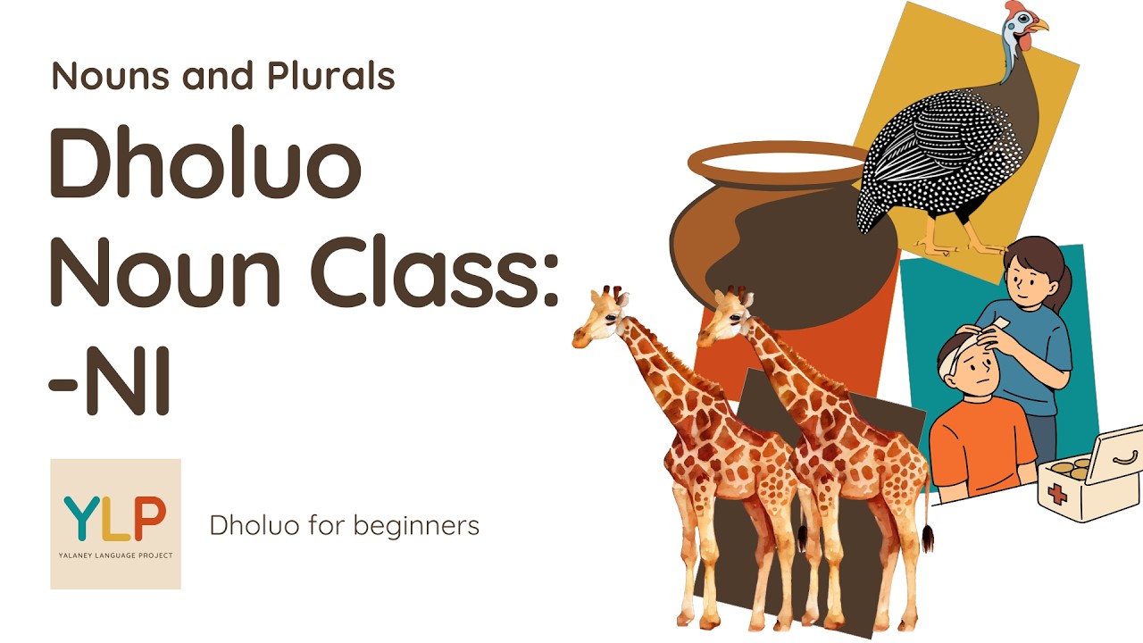 Dholuo lessons: Nouns and Plurals (noun class: NI) - Part 2
