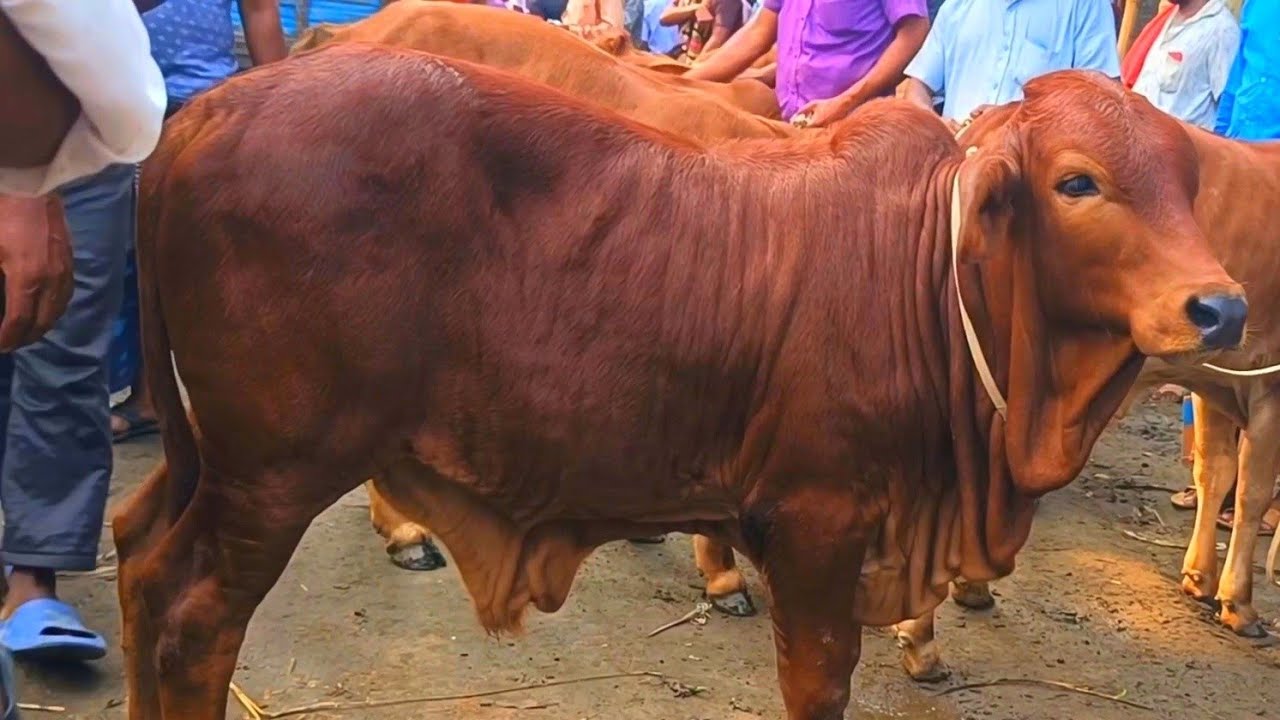 @আজ ২৪ ফেব্রুয়ারী