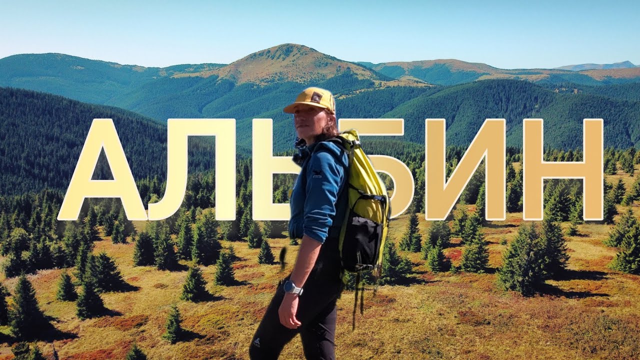 АЛЬБИН. Дика гора Карпат / ALBYN. Wild Carpatians mountain