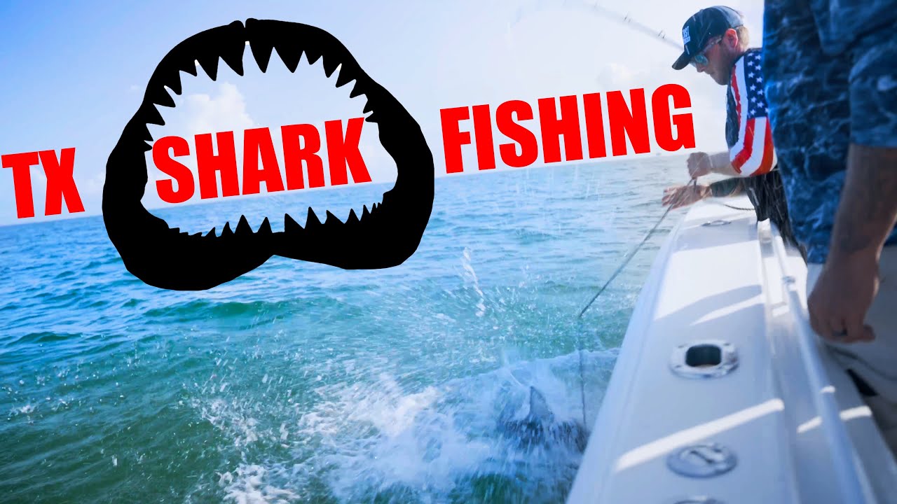 SHARK FISHING TEXAS (How To)