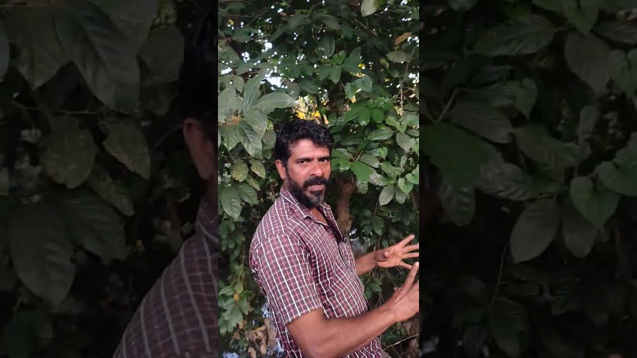 കൈ വച്ചാൽ പണി പാളി പോകും ഒരുപാട് പഴക്കം ചെന്നത് കിർലോസ്കർ