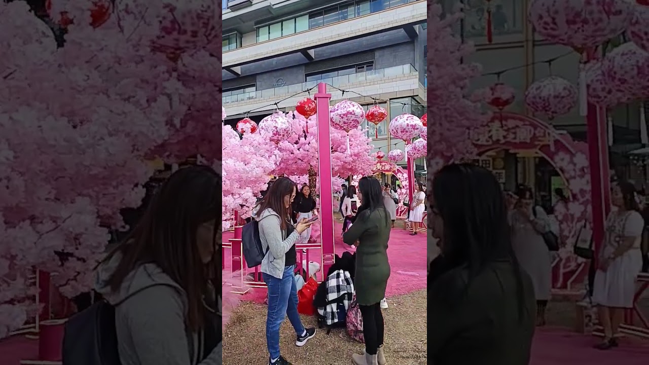 TAHUN KUDA HIASAN CANTIK BUNGA SAKURA DI NORTH POINT HONGKONG EXIT A1