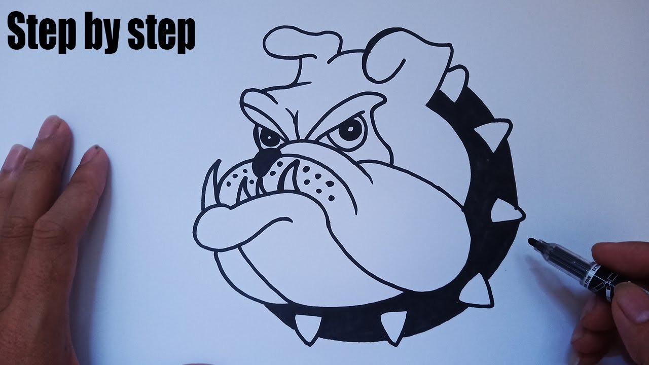 How to draw a cartoon bulldog easy step by step