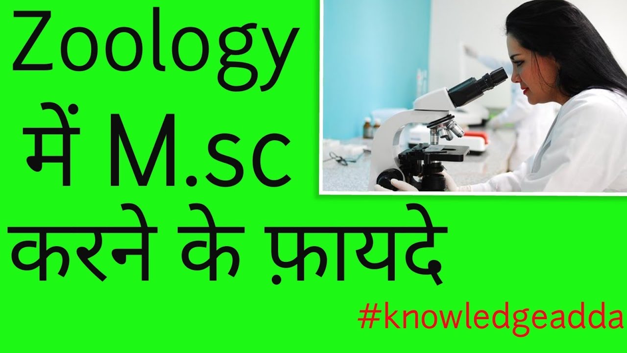 Zoology me msc karne k fayde, zoology jobs career ,msc zoology advantages in hindi ,BSC zoology