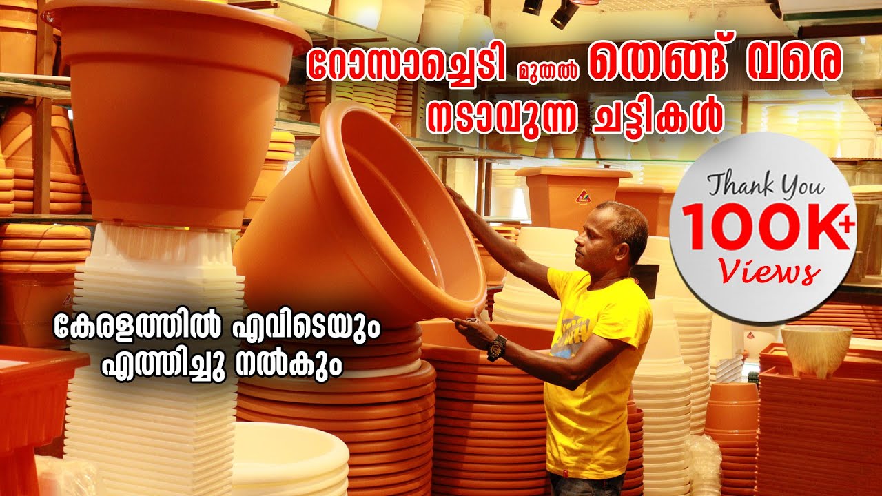 റോസാച്ചെടി മുതൽ തെങ്ങ് വരെ നട്ടു വളർത്താവുന്ന ചട്ടികൾ  | Plastic Flower Pots | Large Garden Pots