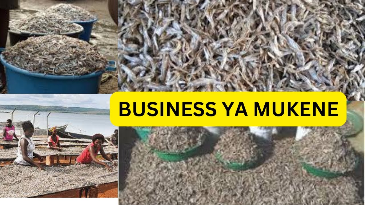 BUSINESS YA MUKENE, OTANDIKA OTYA,EFUNA ETYA?