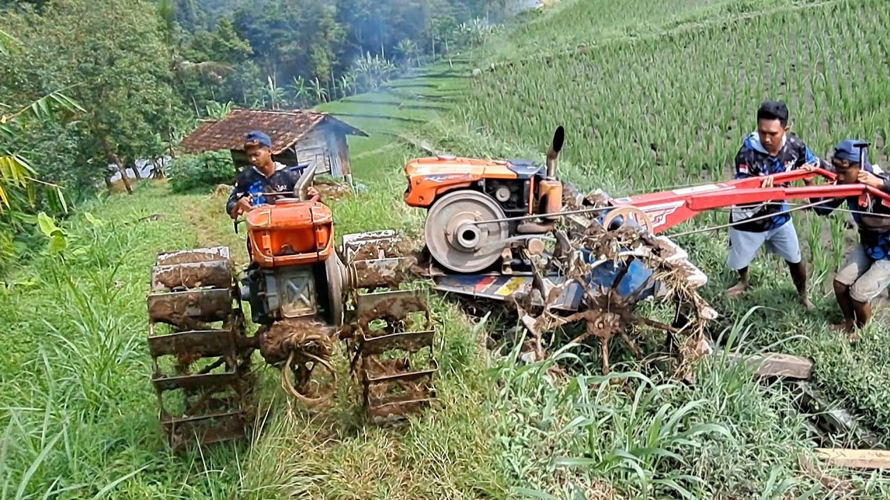 Joki muda Nekat...Traktor sawah lewat jalur extreme berbahaya.