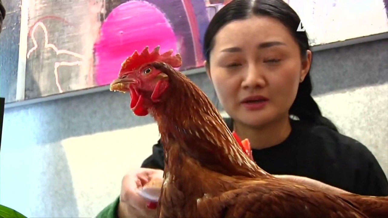 (VTC14)_Người dân thế giới làm gì vào những ngày cuối năm?