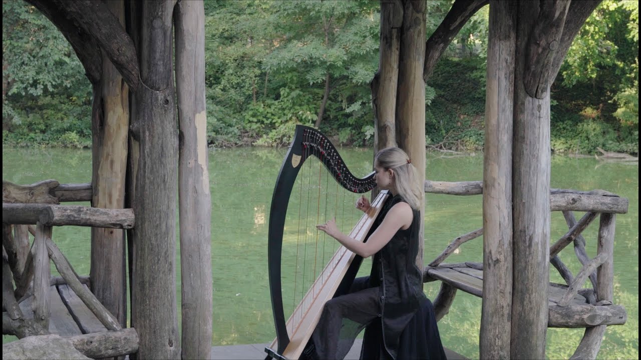The Rains of Castamere (Lannister song) played on lever harp.