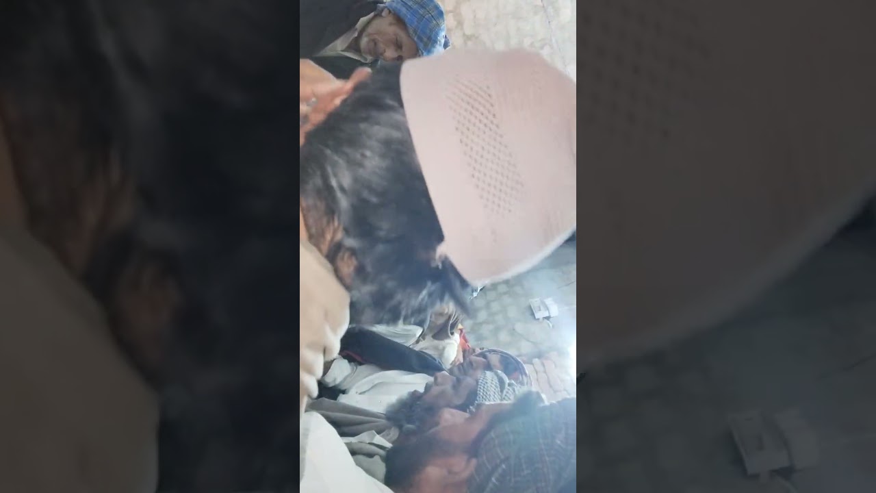 मोहमद सलीम दरस सेङवा जोङी और ईभराईम दरस जालीला 