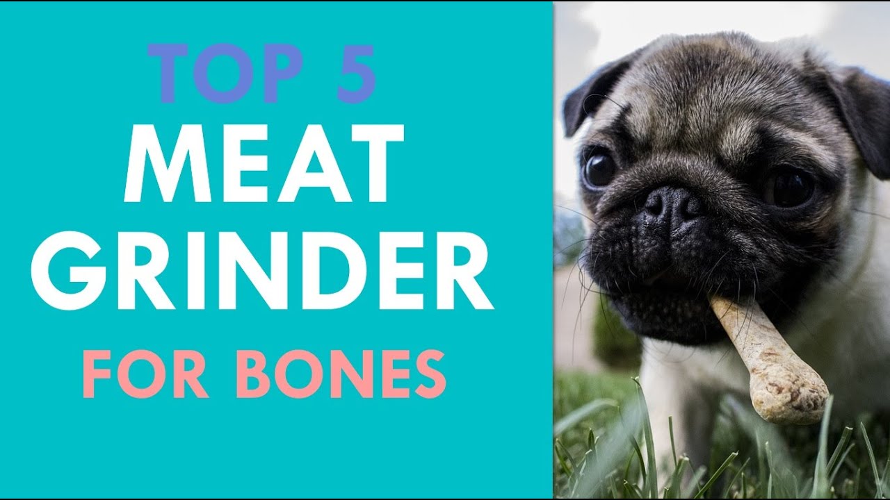 Best Meat Grinder For Bones - Dog Food And Bone Meal Preparation