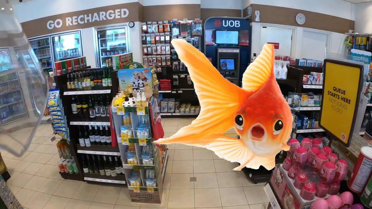 I have the attention span of a goldfish