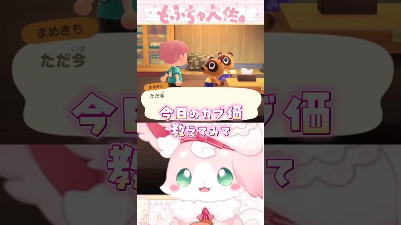 たぬきとけんか #もふちゅ大佐 #いちプロ #vtuber #あつ森 #新人vtuber