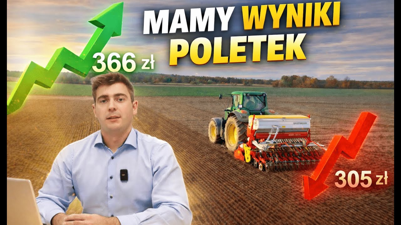 Analiza wyników poletek: co się opłaciło, a co nie💸🧑‍🌾