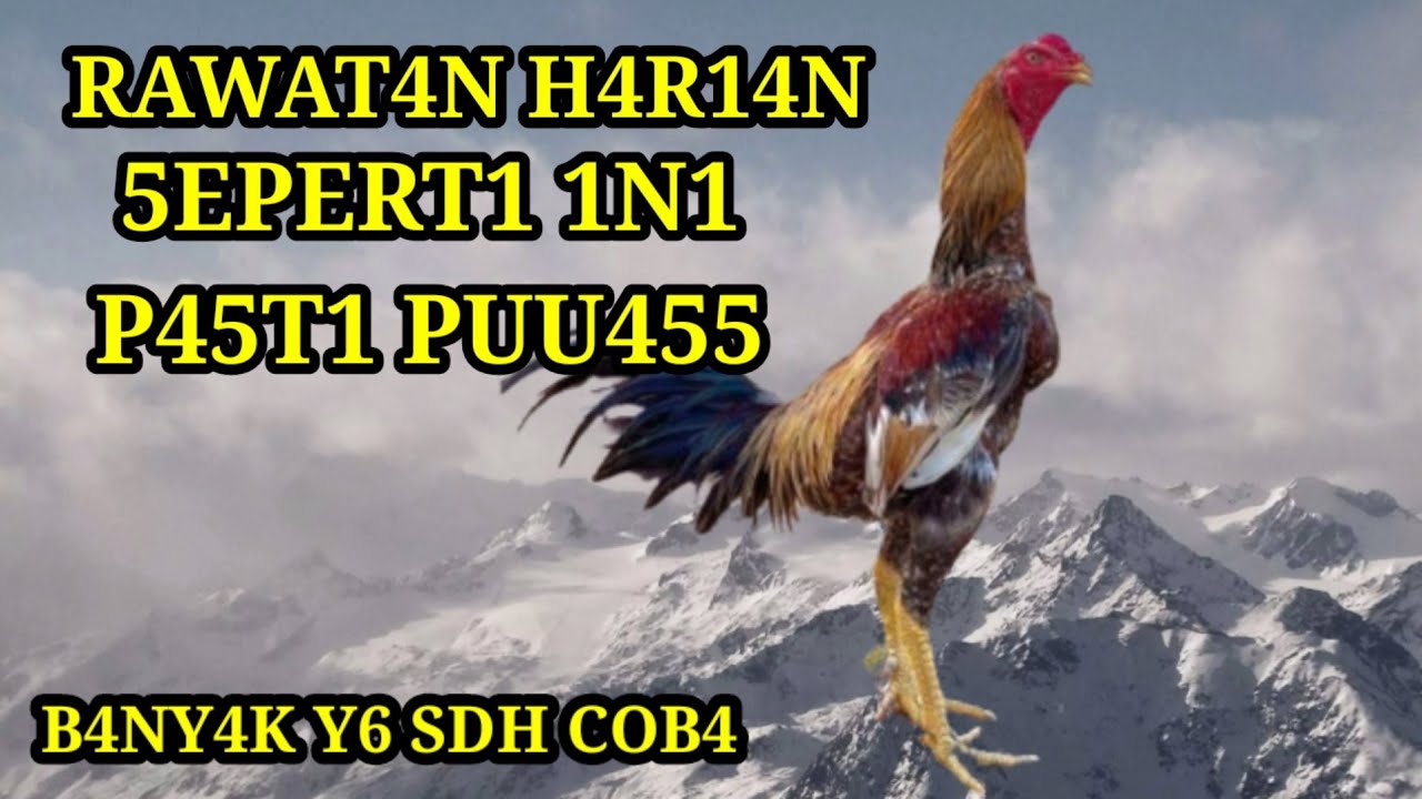 Tips Rawatan Harian Yang Benar dan Simple
