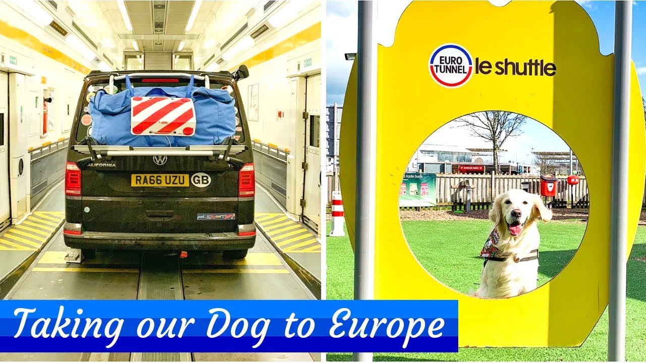 Taking our Dog and Camper Van on the EuroTunnel - EuroTrip '19 Episode 1 (Ad)