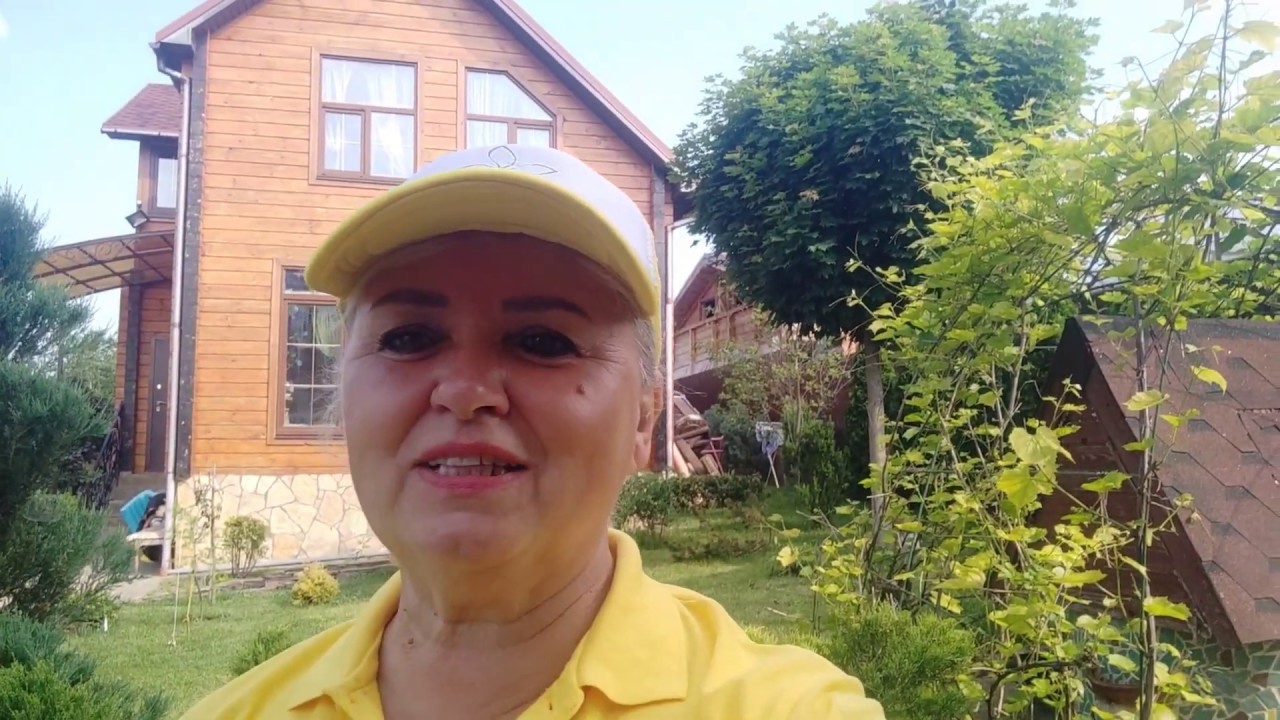 Формирование лиственницы европейской в садовый ниваки