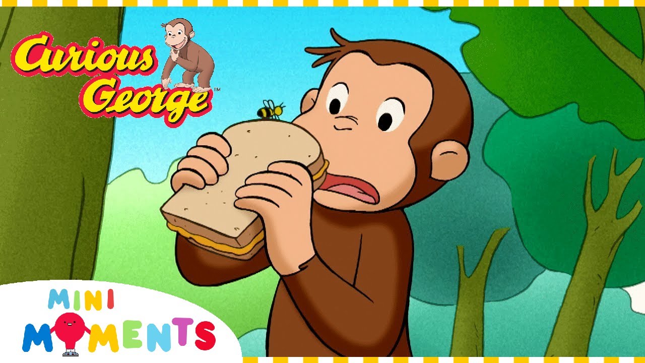 George Learns about Bees | Curious George | 20 Minutes | Mini Moments