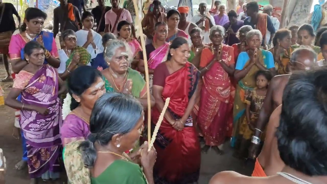 கெம்பநாயக்கம்பாளையம் வேப்பங் காட்டு கருப்பராயன் கோவில் வண்ணாத்தி ஆத்தா பூஜை 🙏💥😍✨
