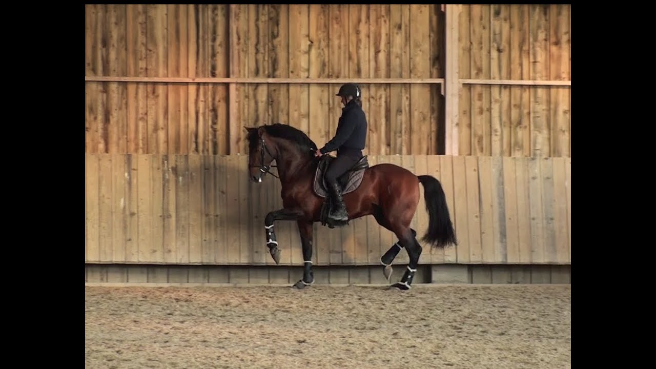 Coraçao La Goudelie -Jean-Louis Sauvat
