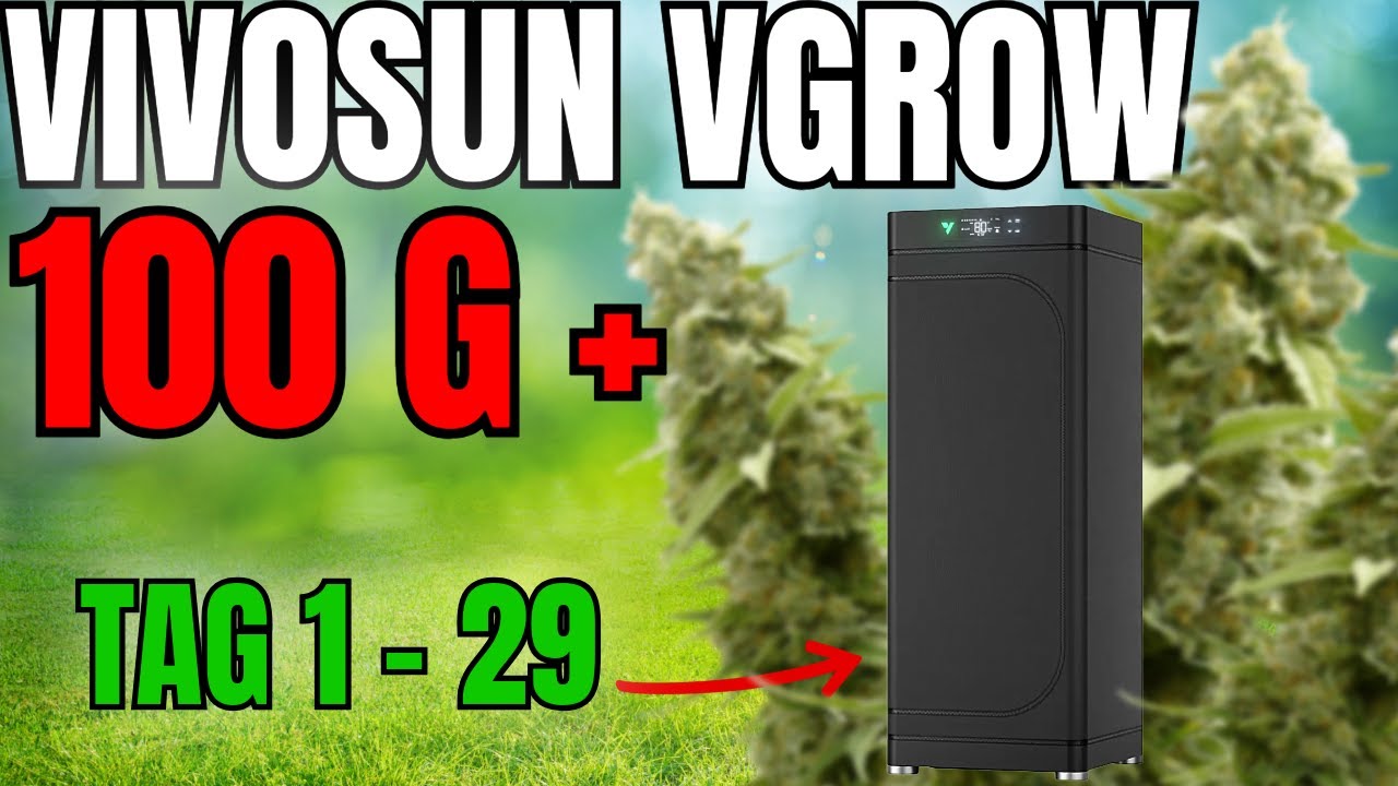 Samen bis Ernte / Vivosun VGrow das 680€ HIGHTECH SETUP im Test / Die Dokumentation / Tag 1-29