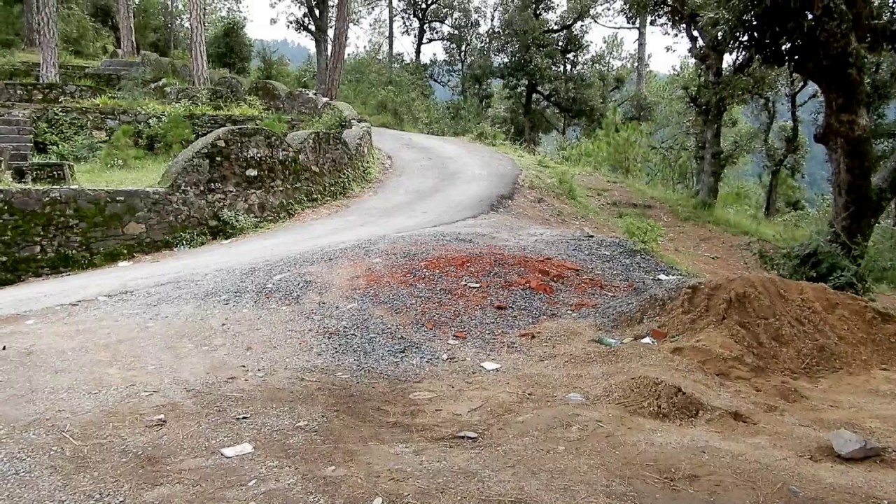 The Glen Picnic Spot, Shimla || Himachal Pradesh, India